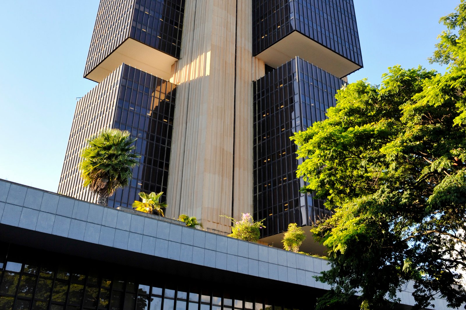 Fachada da sede do Banco Central em Brasília, com palmeiras à frente.