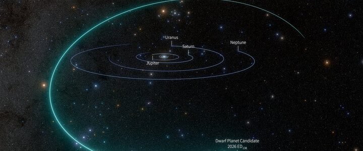 Modelo visual da órbita do candidato2026ED138, divulgado pelo NSF–DOE Vera C.Rubin Observatory/NOIRLab/SLAC/AURA/R.Proctor; não é foto da superfície ou representação em escala dos corpos.