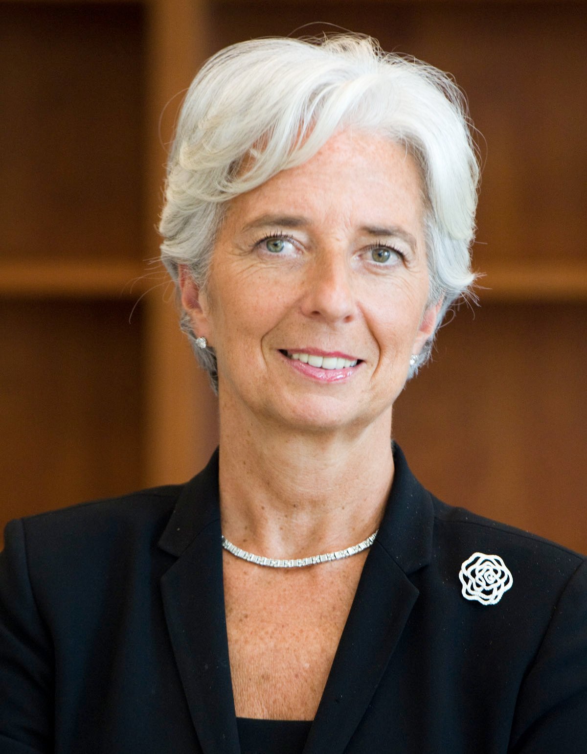 Christine Lagarde em retrato oficial de6de julho de2011, foto de arquivo do FMI; não é registro do anúncio de29de outubro de2026.