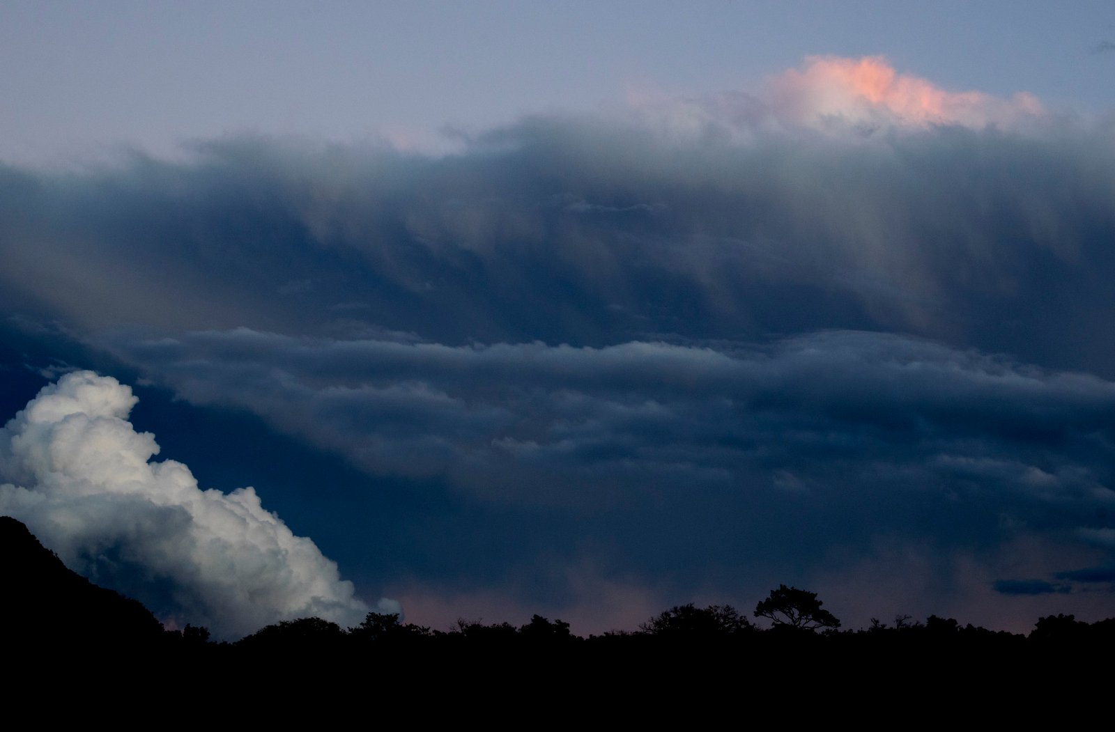 Nuvens escuras de tempestade sobre silhuetas de árvores ao fim da tarde.