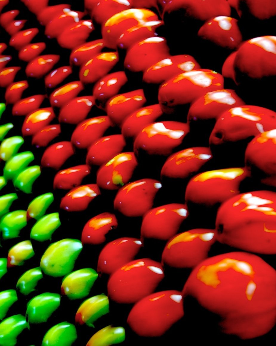 Tomates vermelhos e verdes organizados em uma bancada