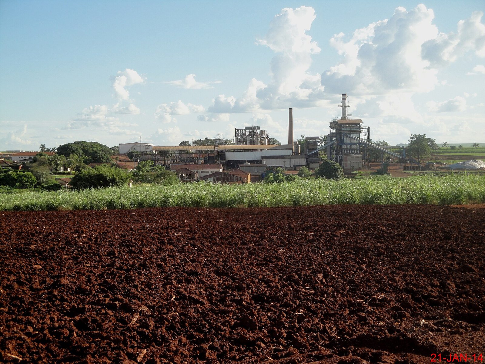 Canavial e instalações da Destilaria Santa Inês em Sertãozinho