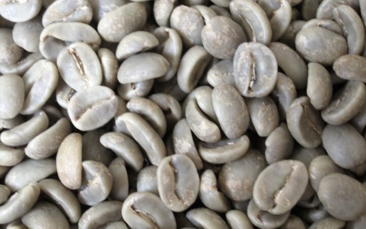 Grãos de café verde em um recipiente.