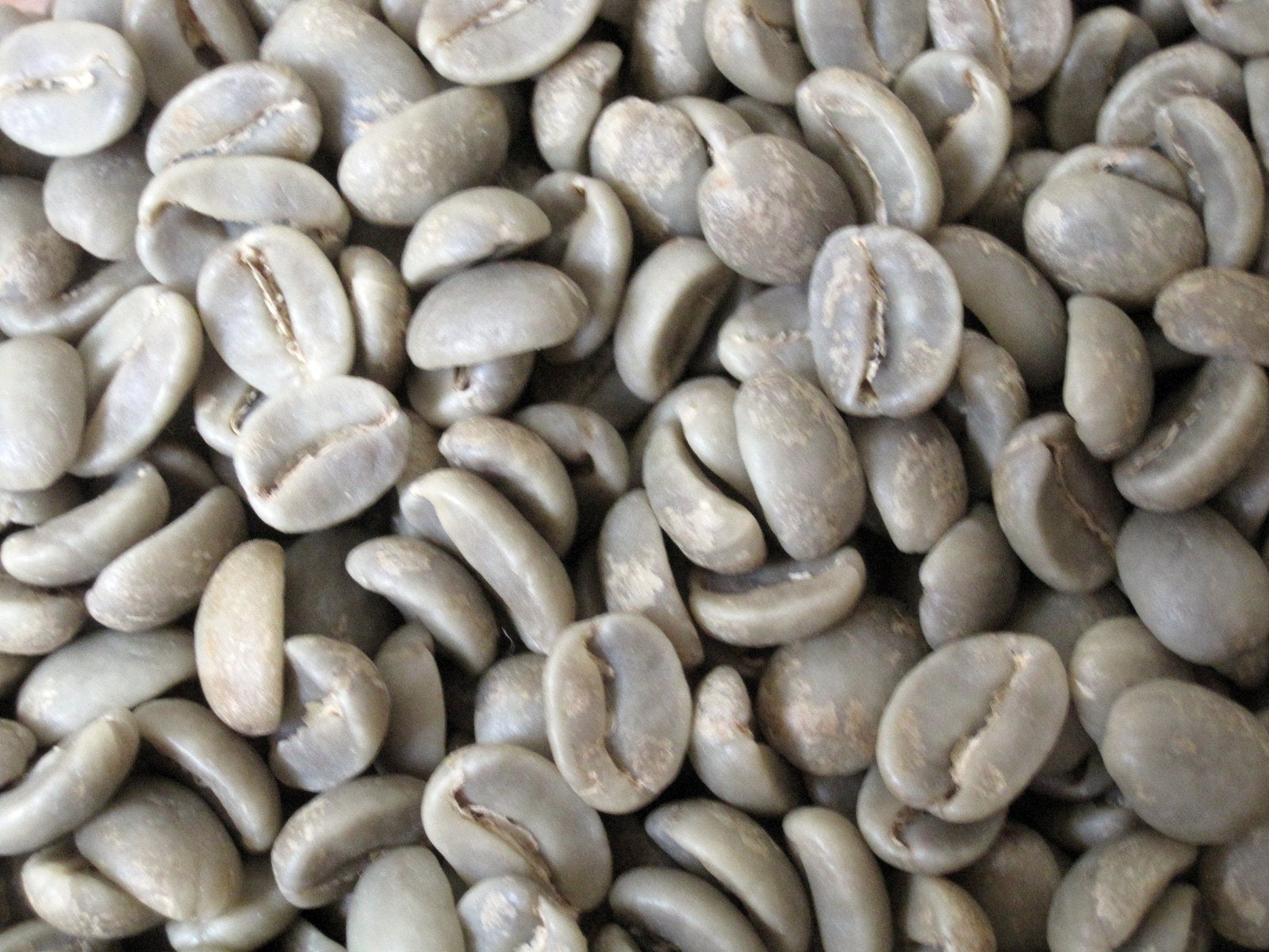 Grãos de café verde em um recipiente.