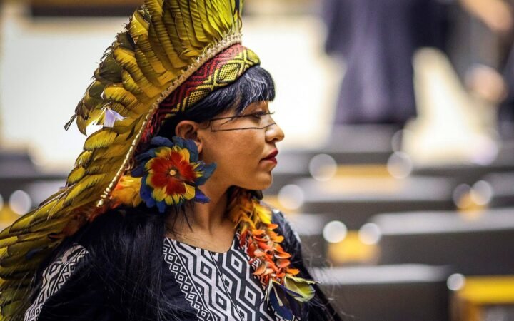 Célia Xakriabá durante sessão no plenário do Congresso, em fotografia de arquivo.
