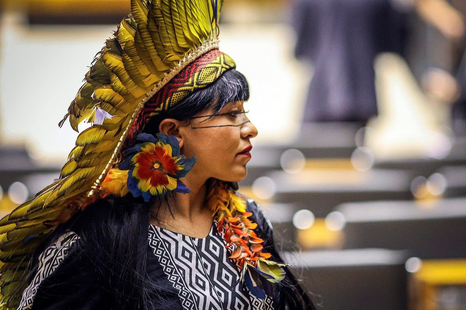 Célia Xakriabá durante sessão no plenário do Congresso, em fotografia de arquivo.