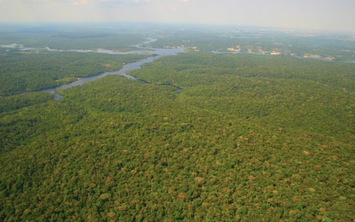 Vista aérea da floresta e de um curso de água na região do Rio Negro, perto de Manaus, em 2005.