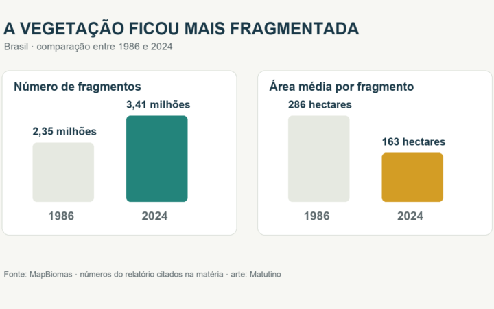 Gráfico de barras compara 2,35 milhões de fragmentos e média de 286 hectares em 1986 com 3,41 milhões e 163 hectares em 2024.