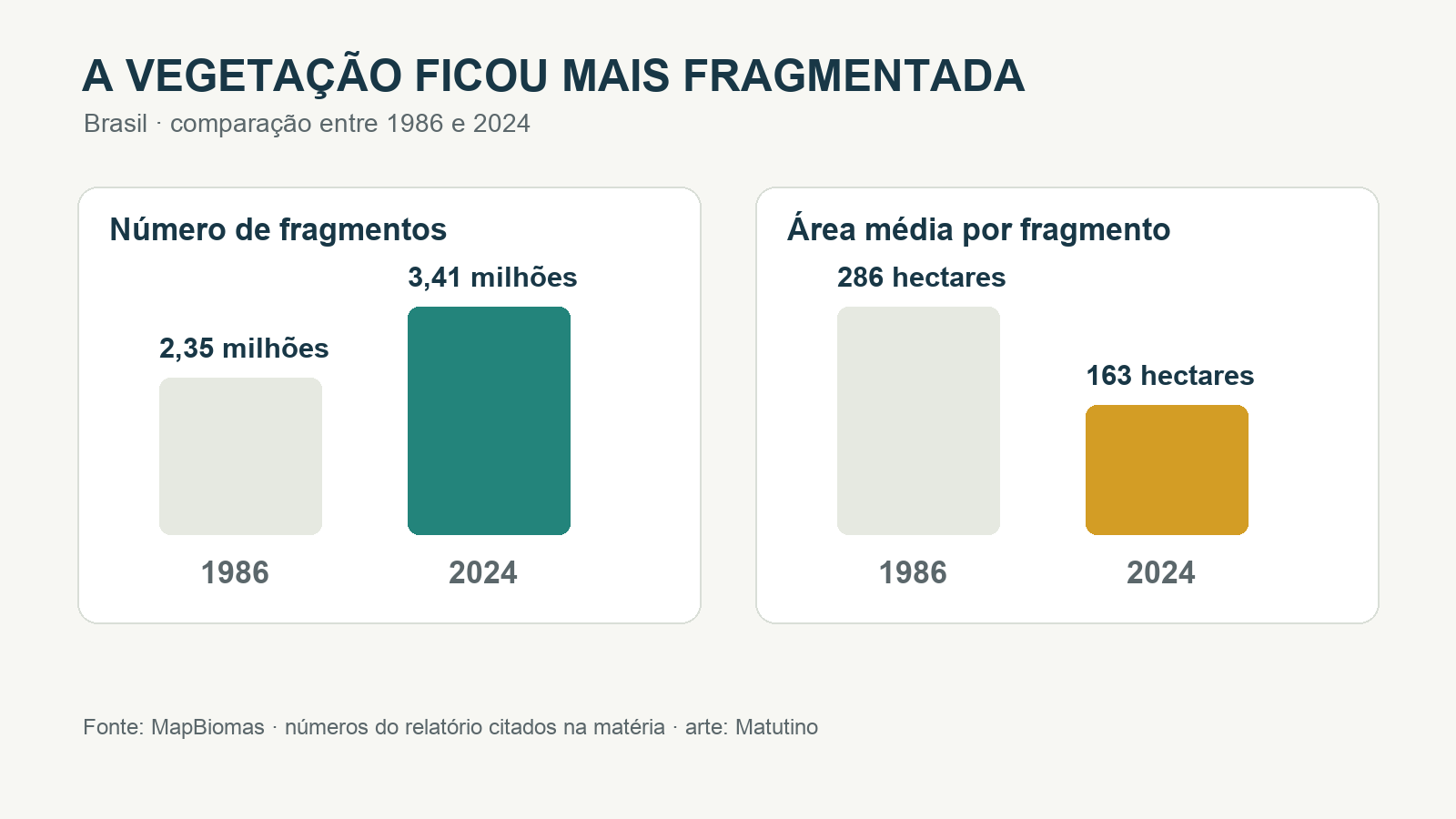 Gráfico compara 2,35 milhões de fragmentos e área média de 286 hectares em 1986 com 3,41 milhões e 163 hectares em 2024.
