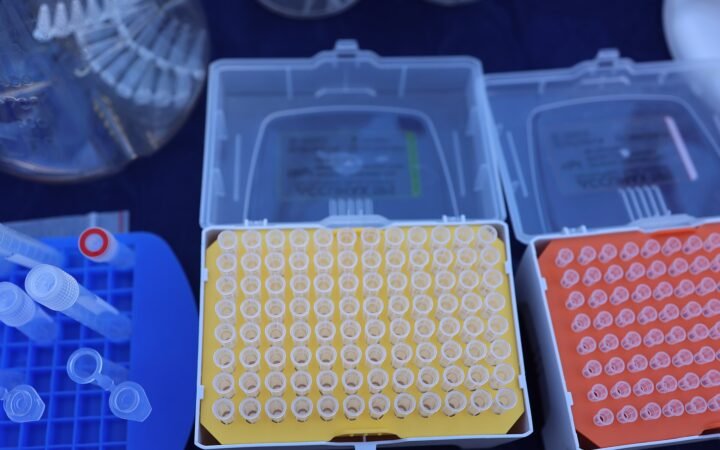 Ponteiras de pipetas organizadas em caixas de laboratório