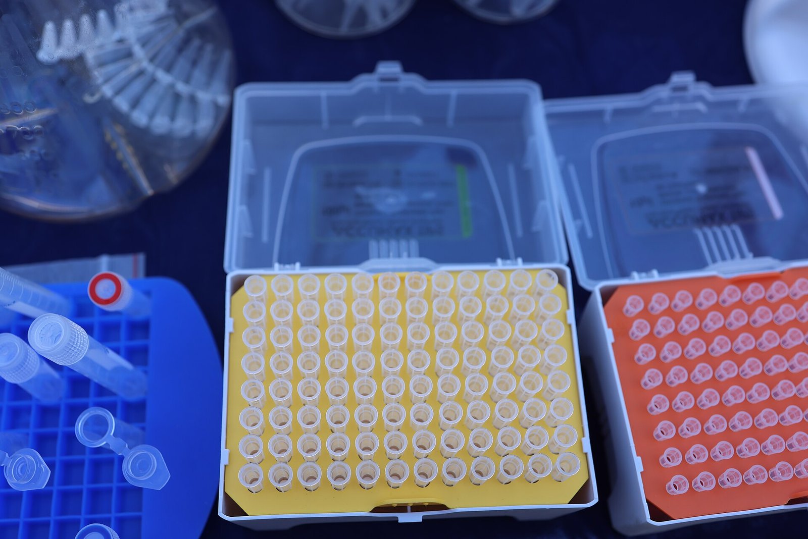 Ponteiras de pipetas organizadas em caixas de laboratório