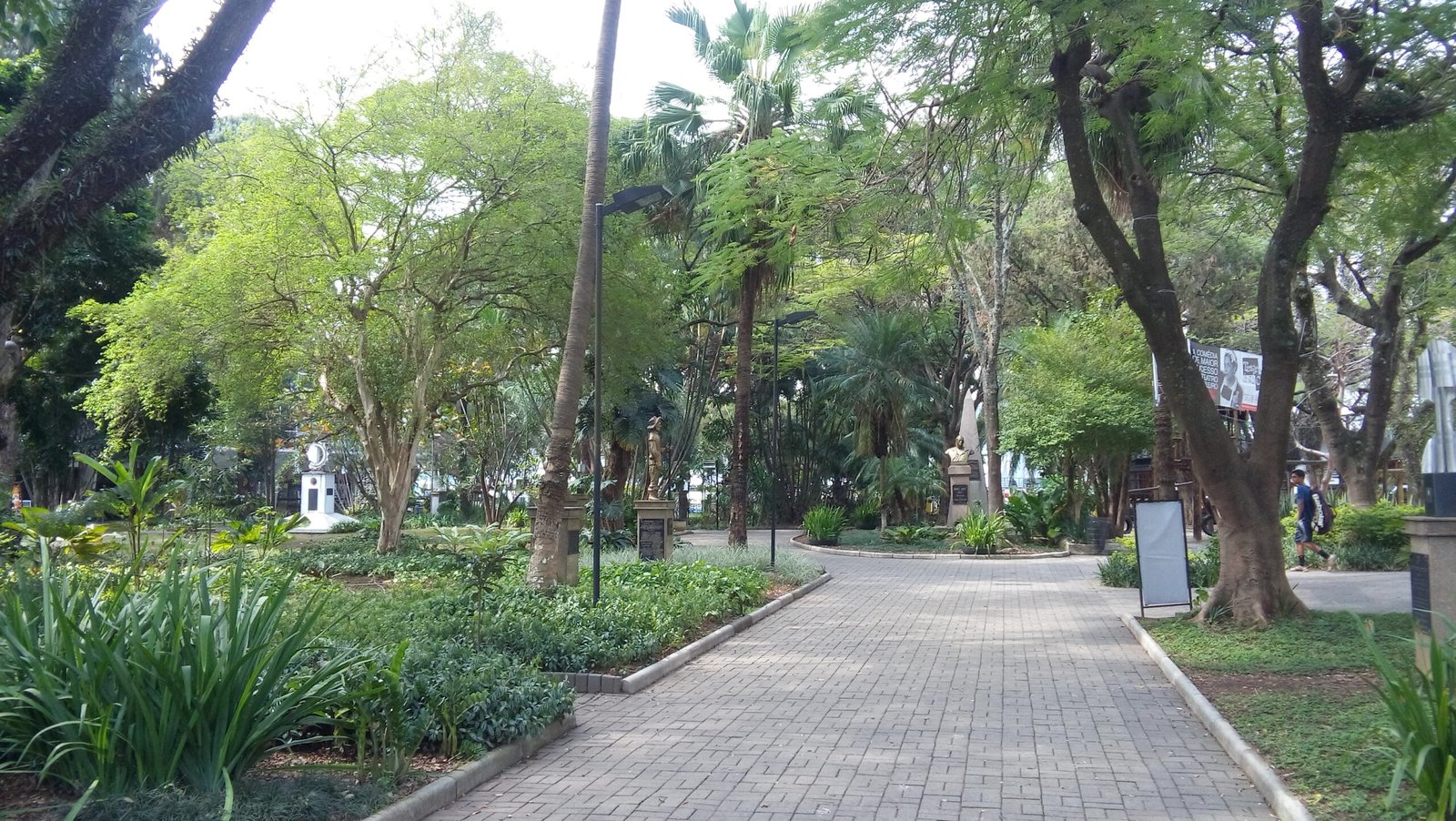 Alameda arborizada nos jardins do Parque São Jorge, sede social do Corinthians.